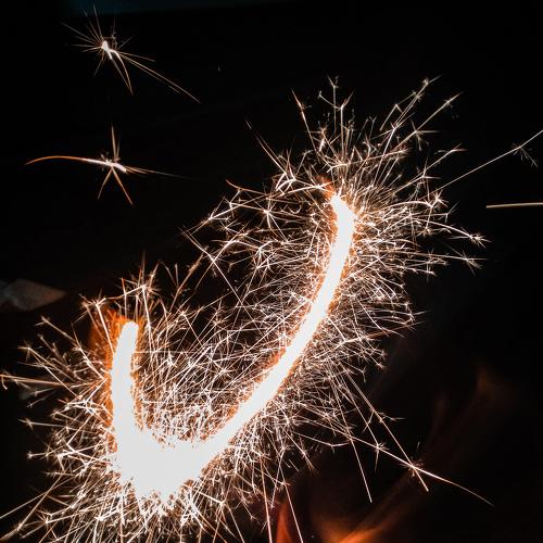 Photo #4704524