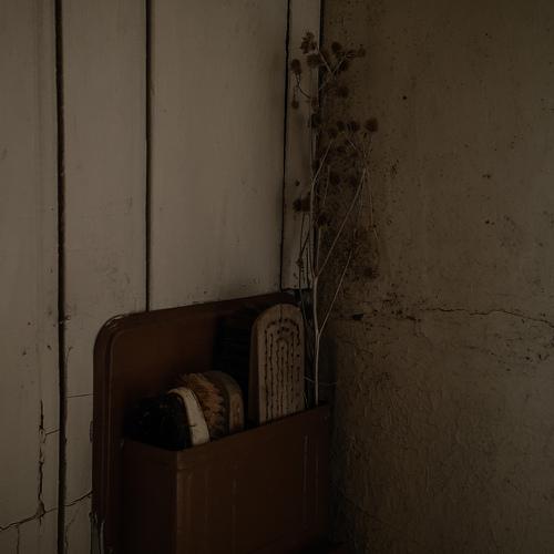 Photo #4704575