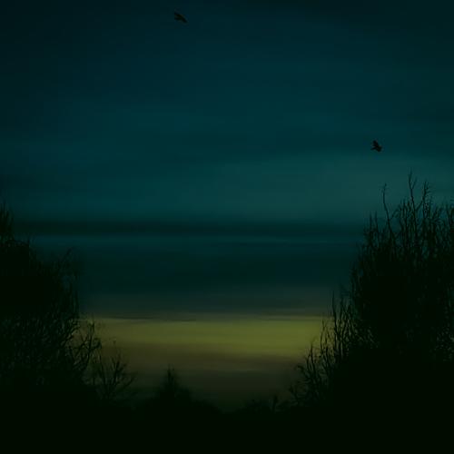 Photo #4704656