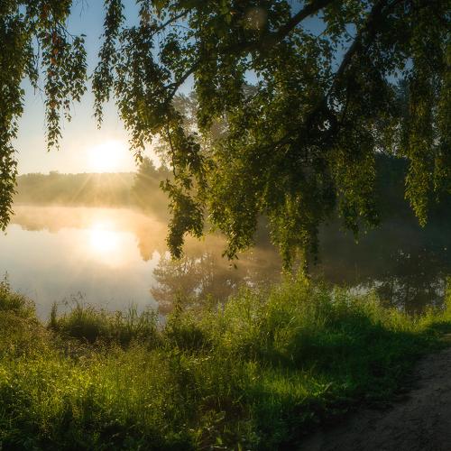 Photo #4704693