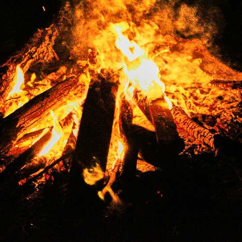Photo #4704721