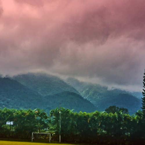 Photo #4704730
