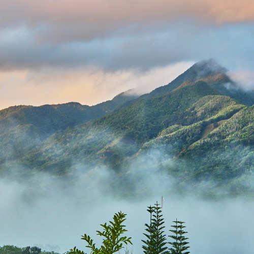 Photo #4704731