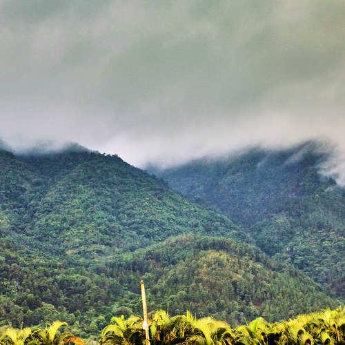Photo #4704732
