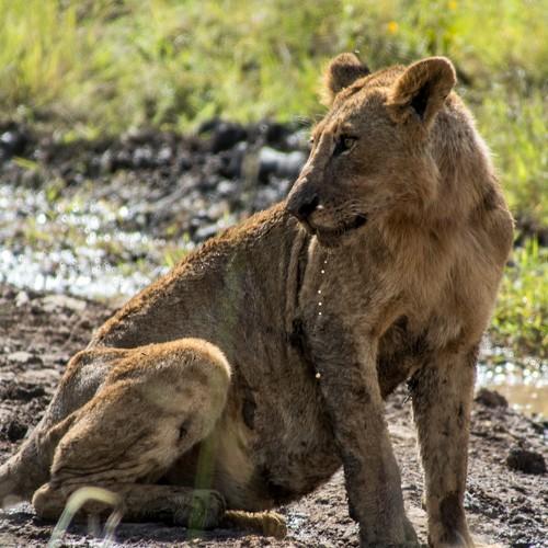 Photo #4704782
