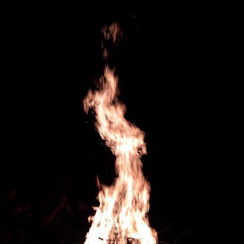Photo #4704893