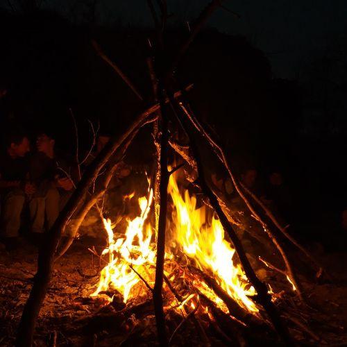 Photo #4704894