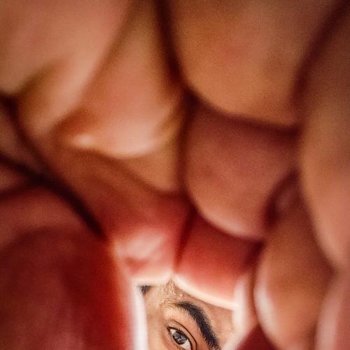 Photo #4704976