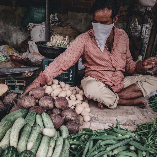 Photo #4705011