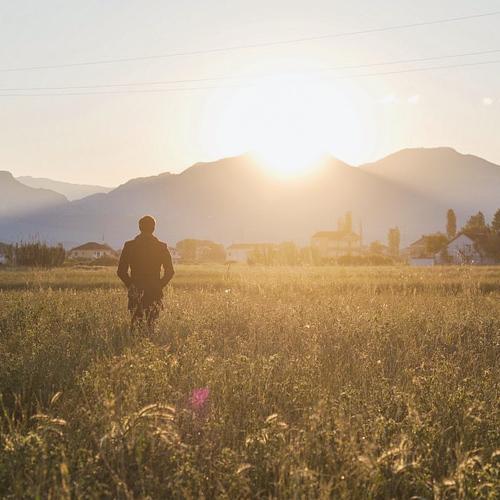 Photo #4705281