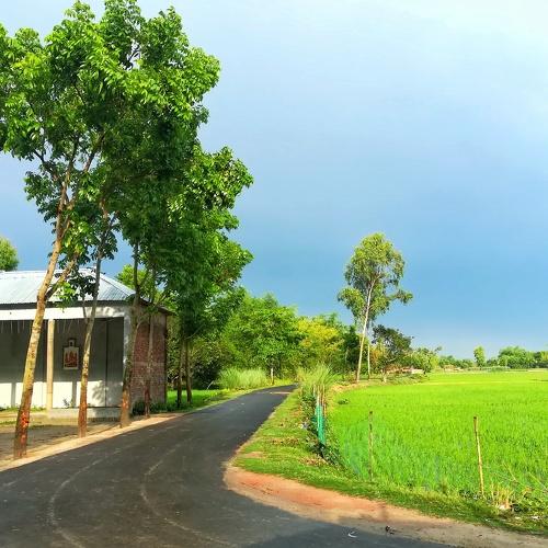 Photo #4705389