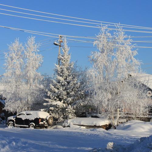 Photo #4705455