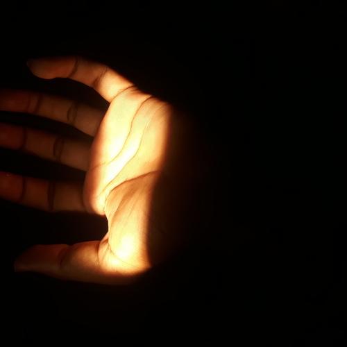 Photo #4705458