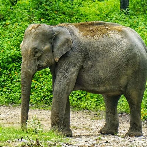 Photo #4705698