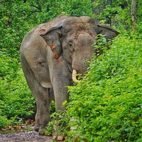 Photo #4705701