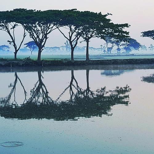 Photo #4705728