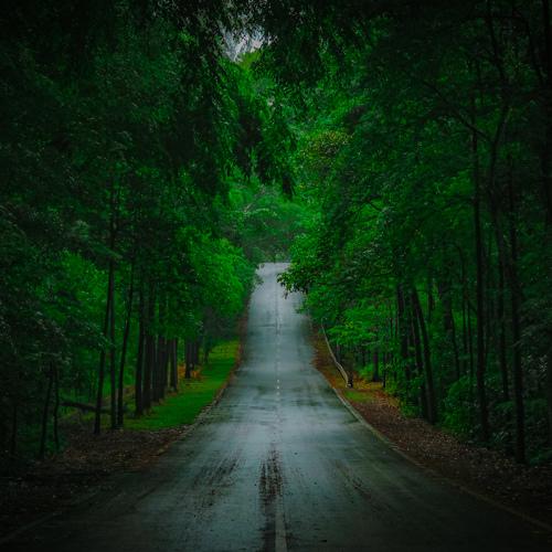 Empty Road