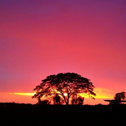 In the light of Twilight