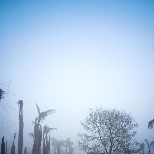 Photo #4706075