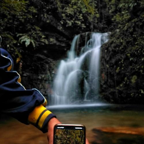 Photo #4706112
