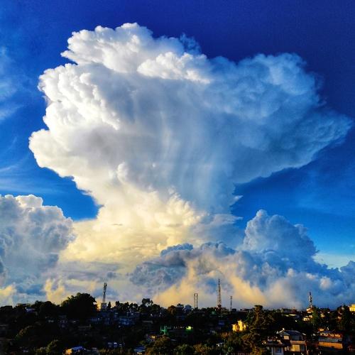 Photo #4706120
