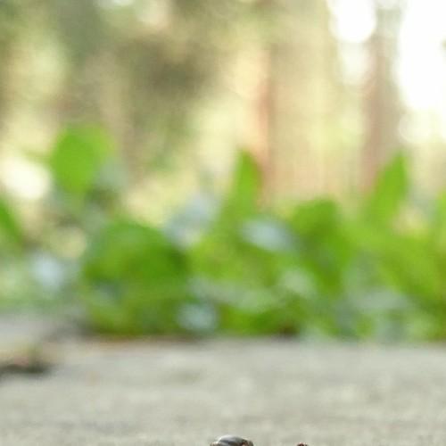 Photo #4706201