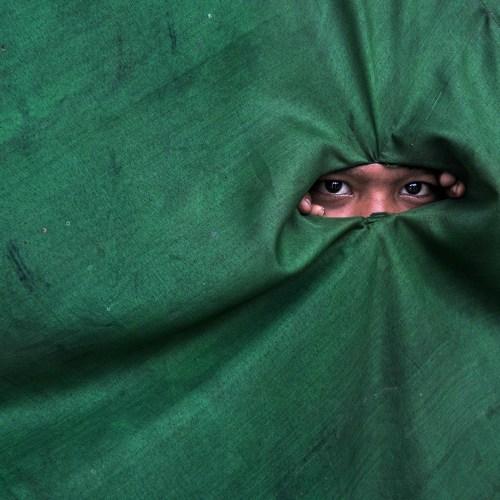 Photo #4706242