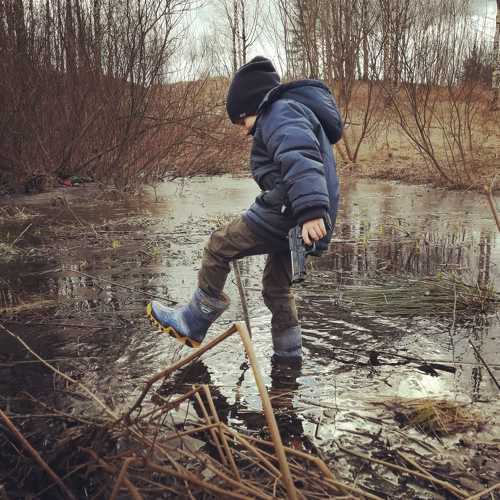 Photo #4706256