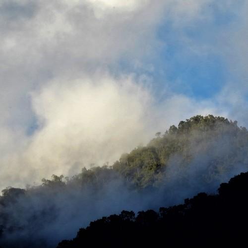 Photo #4706305
