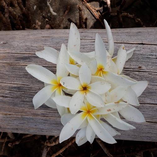 Photo #4706353
