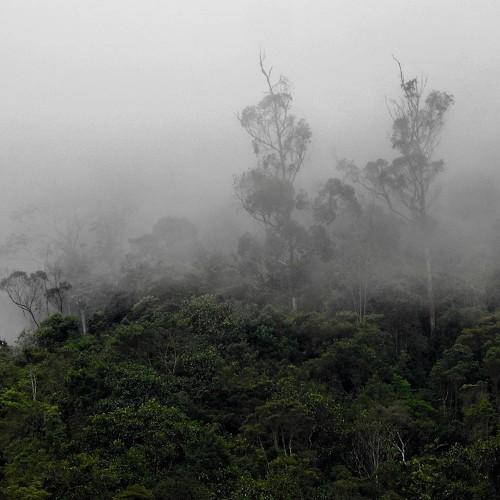 Photo #4706357