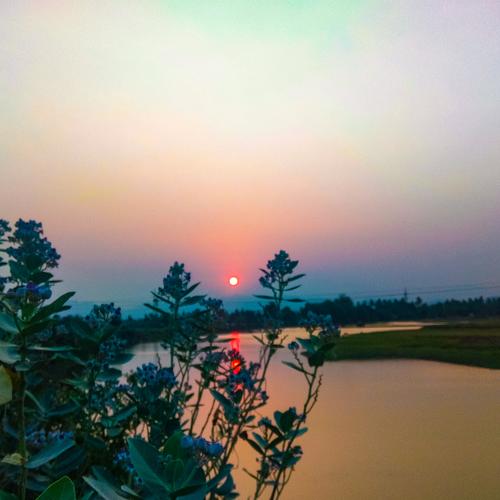 Sunset in Village