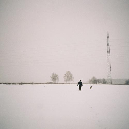 Photo #4706660