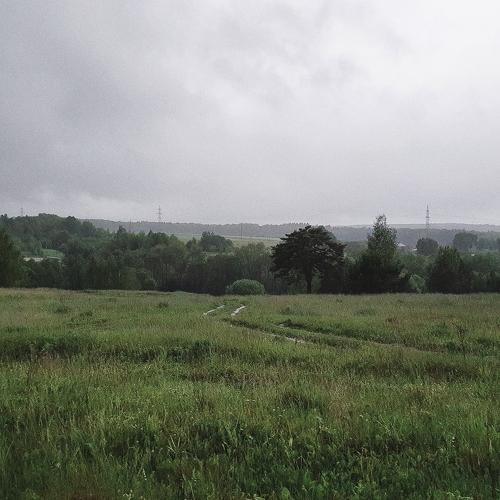 Photo #4706717