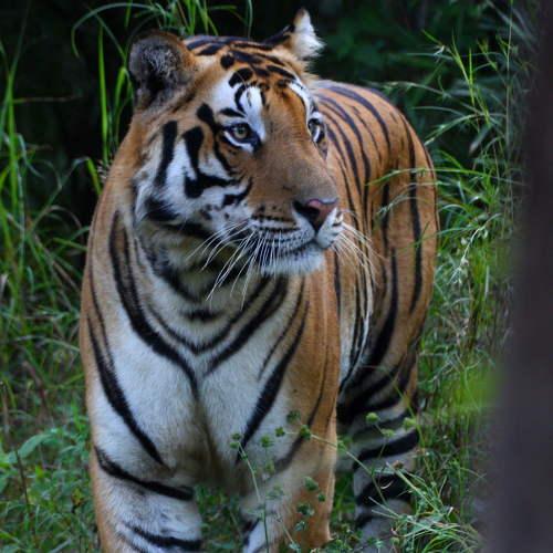 Photo #4706811