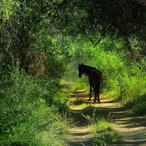 Photo #4706947