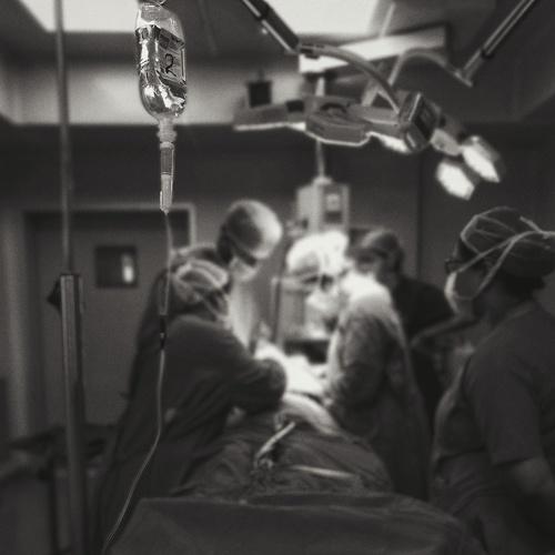 Photo #4707192