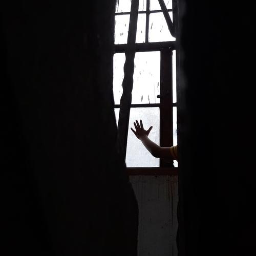 Photo #4707548