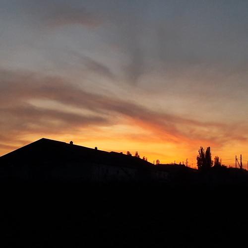Photo #4708089