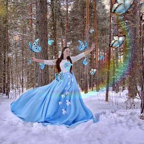 Photo #4708222