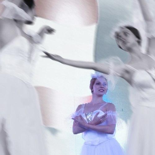 Photo #4708223