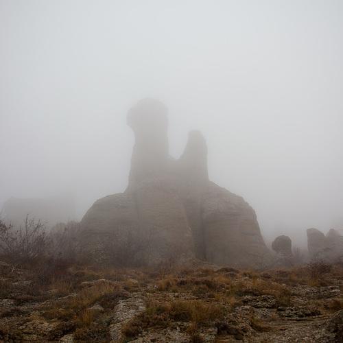 Photo #4708252