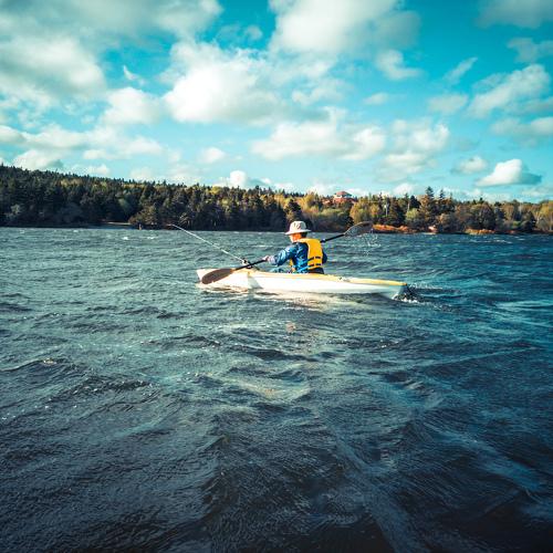 Photo #4708326