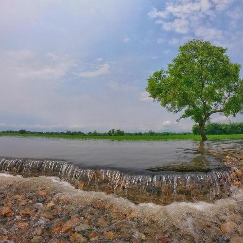 Photo #4708588
