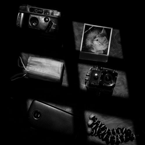Photo #4708624