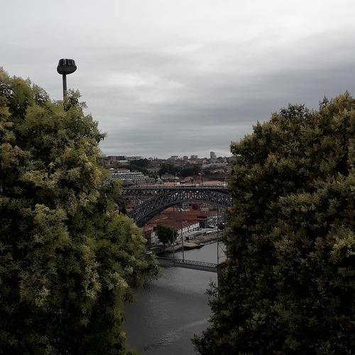 Photo #4708709