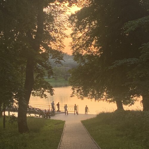 Photo #4708914