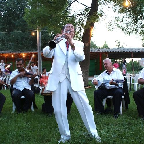 Gypsy Orchestra at Edirne