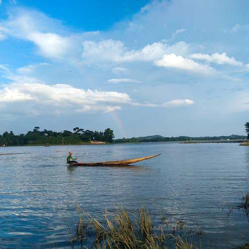 Photo #4709044