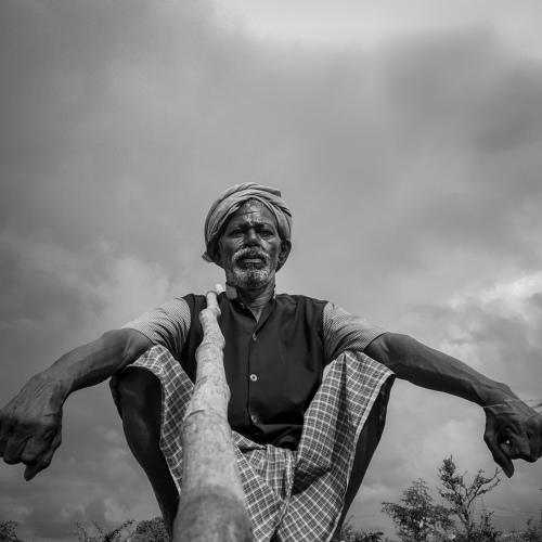 Photo #4709113